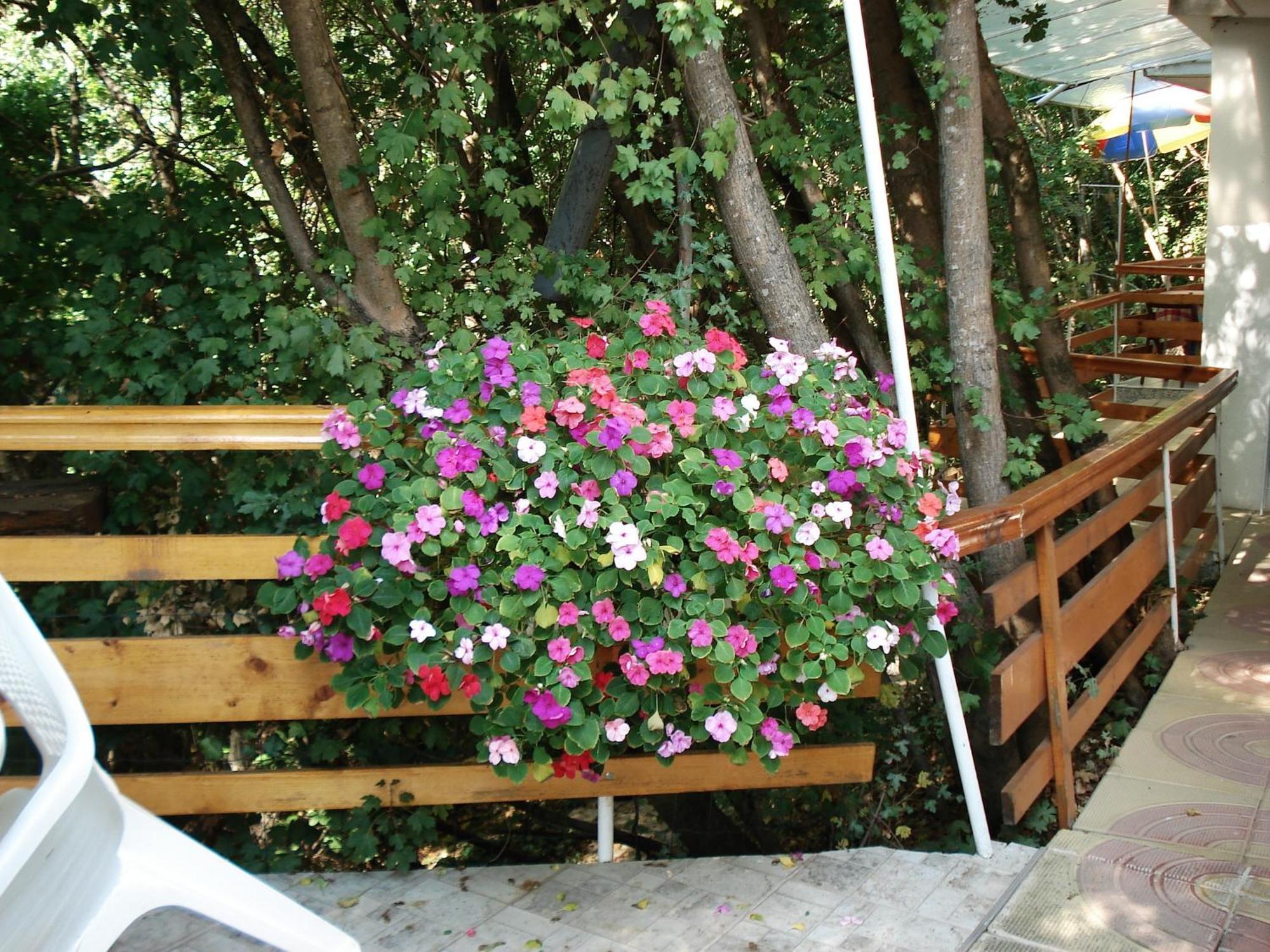 Villa Exotica بالشيك المظهر الخارجي الصورة